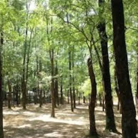 View - Tirana, Albania *